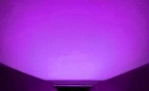 Purple LED Flood Light