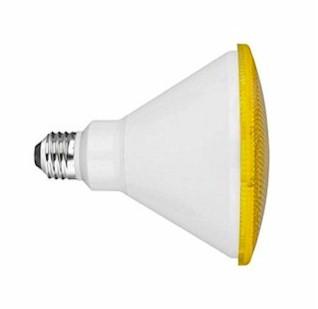 Yellow LED Flood Light