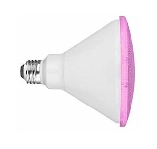 Pink LED Flood Light