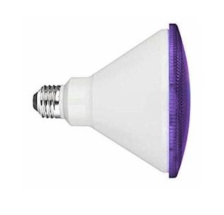 Purple LED Flood Light